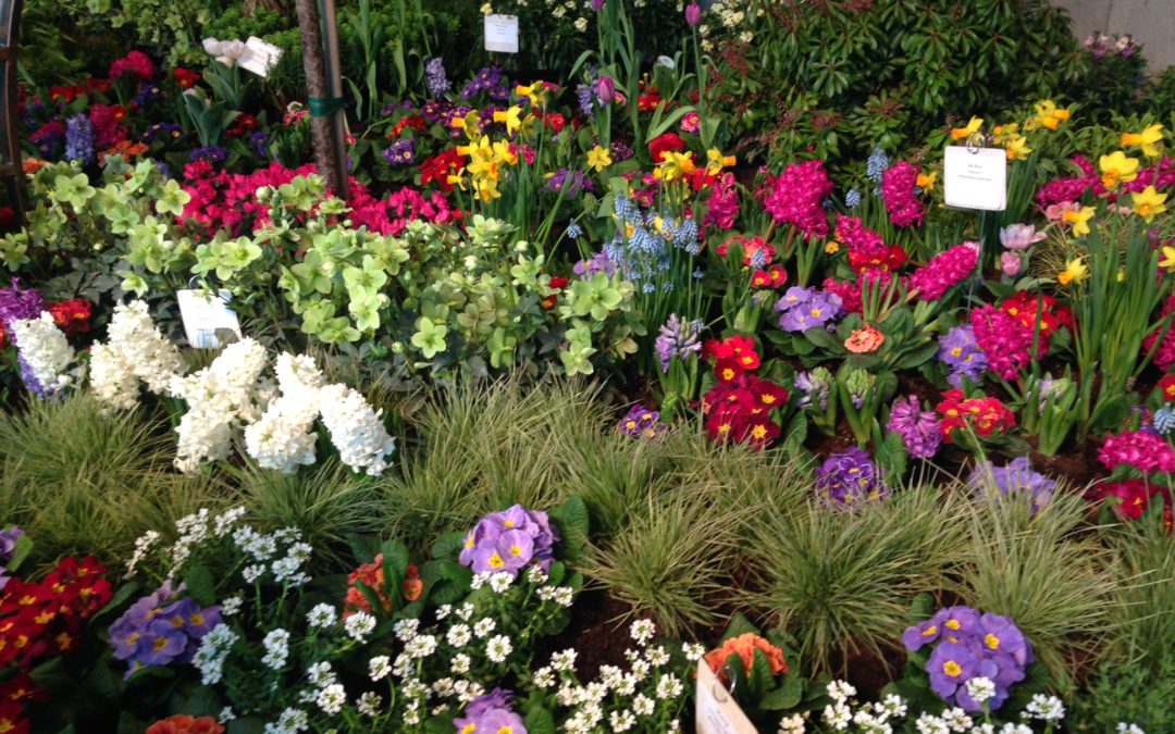 The Northwest Flower and Garden Show