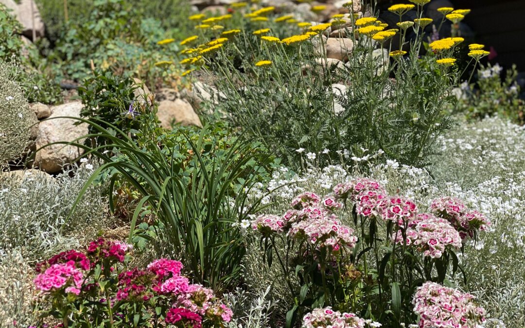 Sustainability in the Landscape and Garden